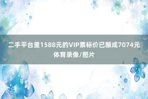 二手平台里1588元的VIP票标价已酿成7074元体育录像/图片