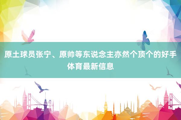 原土球员张宁、原帅等东说念主亦然个顶个的好手体育最新信息