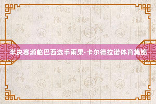 半决赛濒临巴西选手雨果·卡尔德拉诺体育集锦