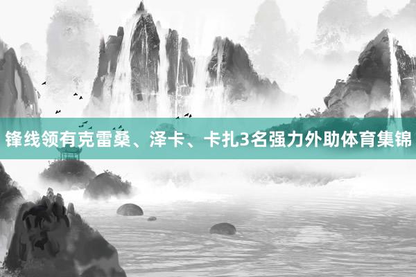 锋线领有克雷桑、泽卡、卡扎3名强力外助体育集锦
