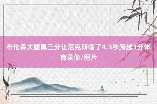 布伦森大腹黑三分让尼克斯临了4.3秒跨越3分体育录像/图片