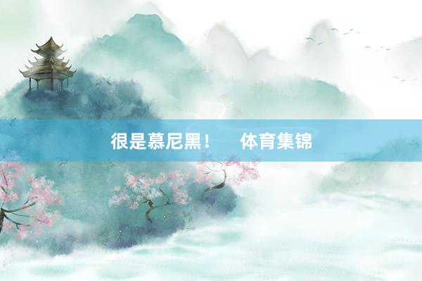 很是慕尼黑！    体育集锦