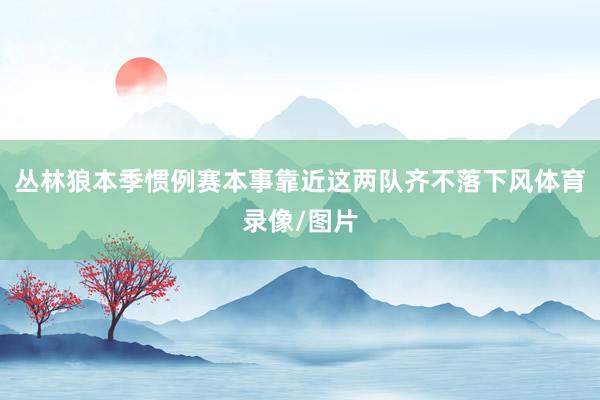 丛林狼本季惯例赛本事靠近这两队齐不落下风体育录像/图片