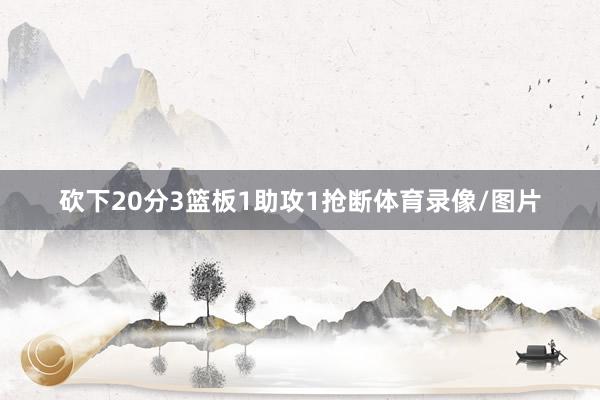砍下20分3篮板1助攻1抢断体育录像/图片