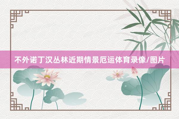不外诺丁汉丛林近期情景厄运体育录像/图片