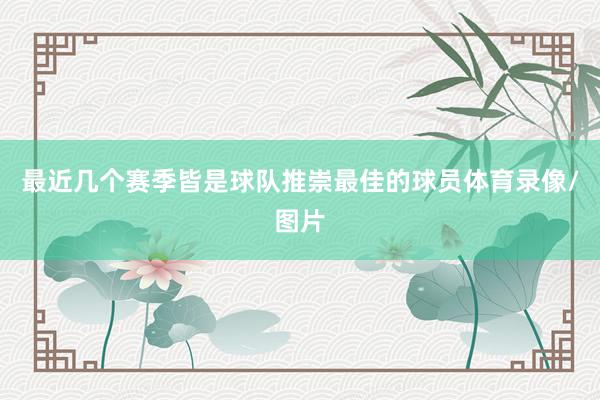 最近几个赛季皆是球队推崇最佳的球员体育录像/图片