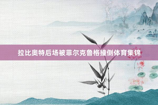 拉比奥特后场被菲尔克鲁格撞倒体育集锦