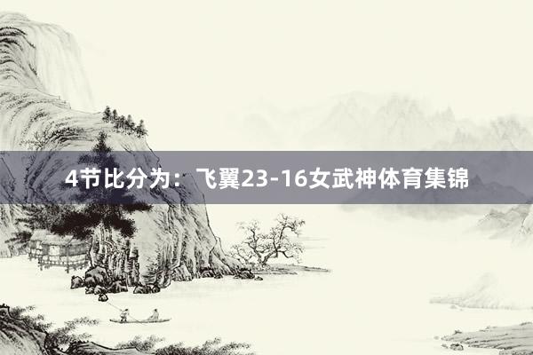 4节比分为：飞翼23-16女武神体育集锦