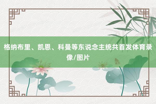 格纳布里、凯恩、科曼等东说念主统共首发体育录像/图片