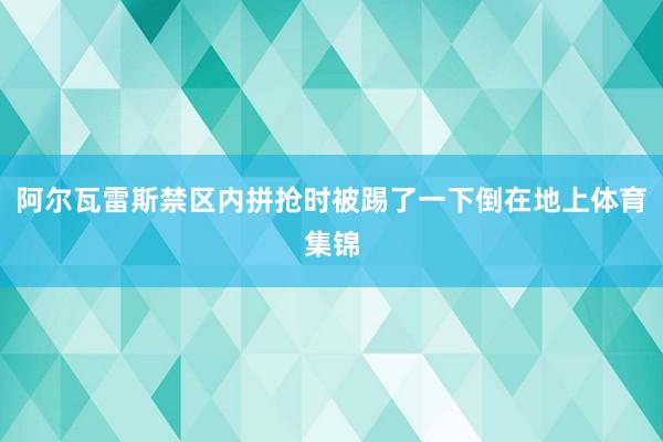 阿尔瓦雷斯禁区内拼抢时被踢了一下倒在地上体育集锦