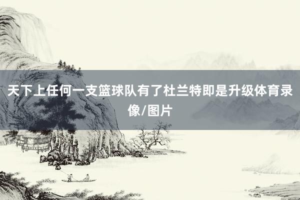 天下上任何一支篮球队有了杜兰特即是升级体育录像/图片