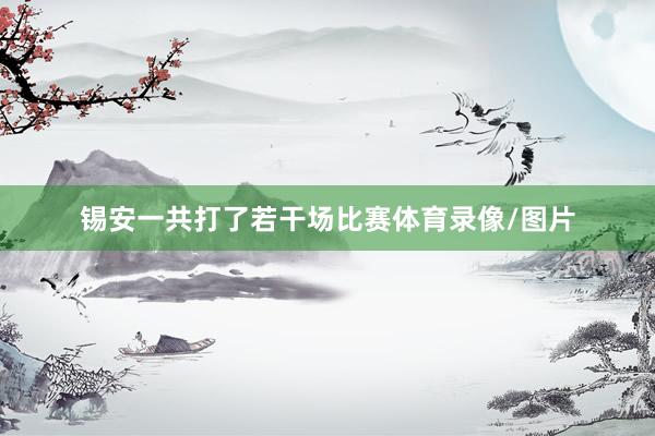 锡安一共打了若干场比赛体育录像/图片