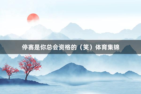 停赛是你总会资格的（笑）体育集锦