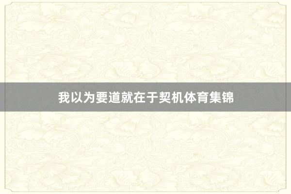 我以为要道就在于契机体育集锦