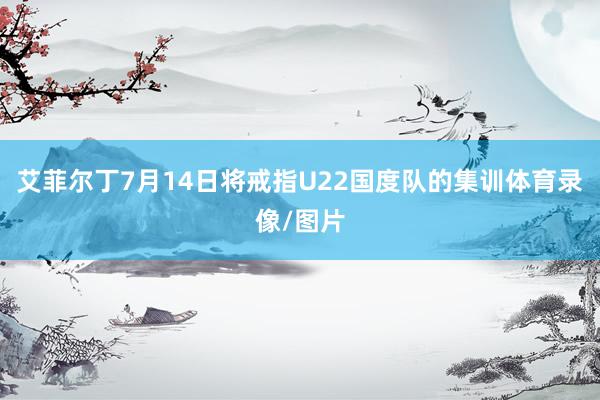 艾菲尔丁7月14日将戒指U22国度队的集训体育录像/图片