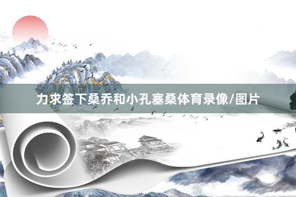 力求签下桑乔和小孔塞桑体育录像/图片
