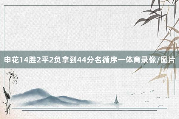 申花14胜2平2负拿到44分名循序一体育录像/图片