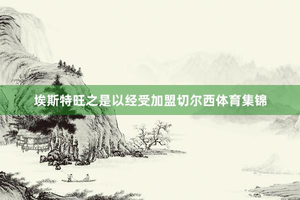 埃斯特旺之是以经受加盟切尔西体育集锦