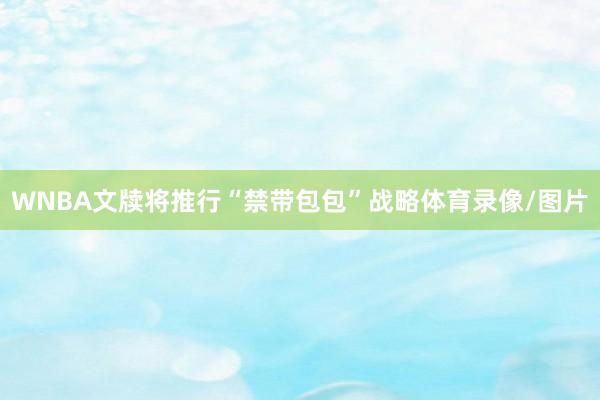 WNBA文牍将推行“禁带包包”战略体育录像/图片