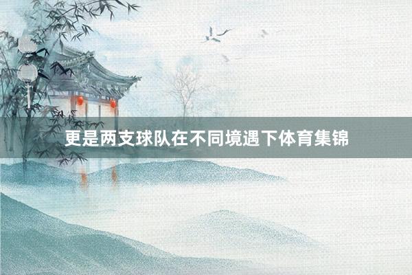 更是两支球队在不同境遇下体育集锦