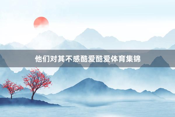 他们对其不感酷爱酷爱体育集锦