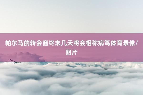 帕尔马的转会窗终末几天将会相称病笃体育录像/图片