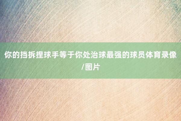 你的挡拆捏球手等于你处治球最强的球员体育录像/图片