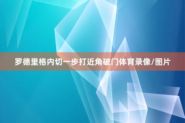 罗德里格内切一步打近角破门体育录像/图片