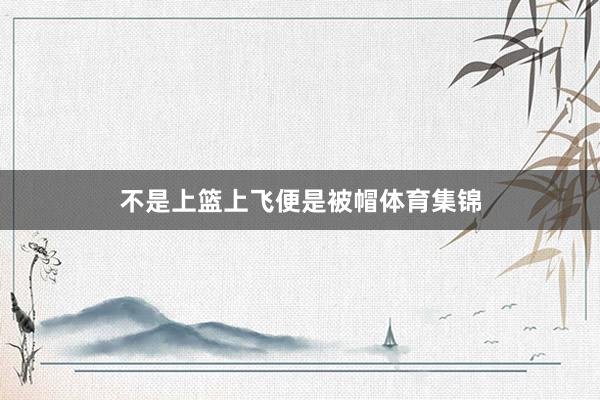不是上篮上飞便是被帽体育集锦