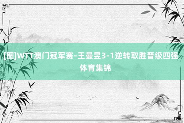 [图]WTT澳门冠军赛-王曼昱3-1逆转取胜晋级四强    体育集锦