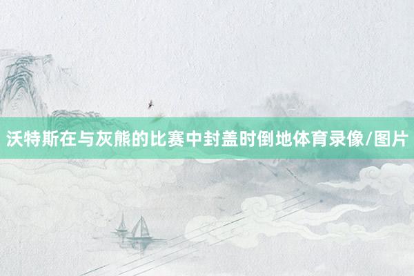 沃特斯在与灰熊的比赛中封盖时倒地体育录像/图片