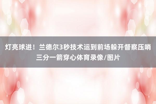 灯亮球进！兰德尔3秒技术运到前场躲开督察压哨三分一箭穿心体育录像/图片