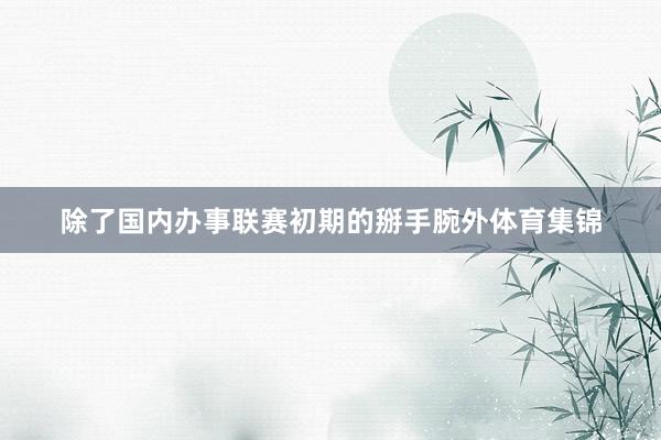 除了国内办事联赛初期的掰手腕外体育集锦