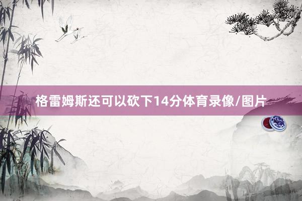 格雷姆斯还可以砍下14分体育录像/图片