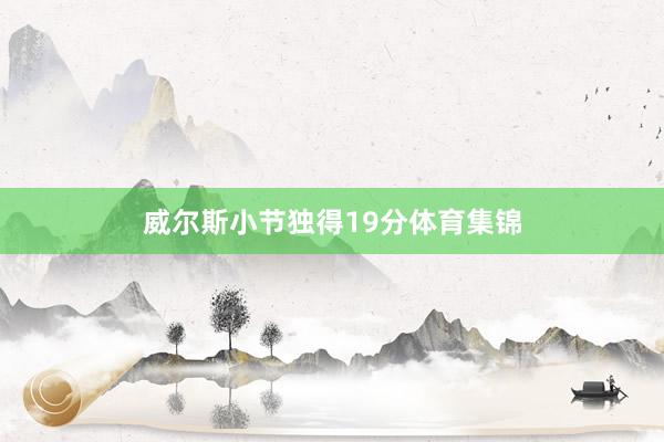 威尔斯小节独得19分体育集锦