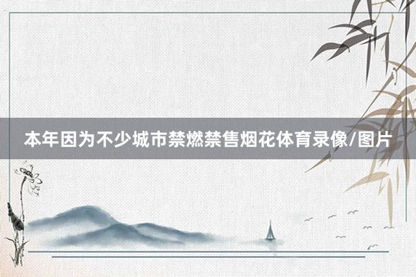 本年因为不少城市禁燃禁售烟花体育录像/图片