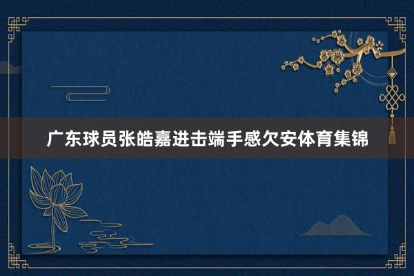广东球员张皓嘉进击端手感欠安体育集锦