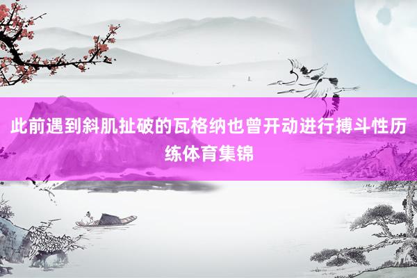 此前遇到斜肌扯破的瓦格纳也曾开动进行搏斗性历练体育集锦