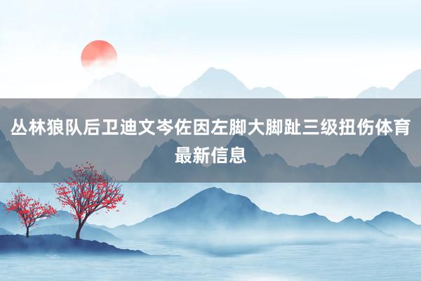 丛林狼队后卫迪文岑佐因左脚大脚趾三级扭伤体育最新信息