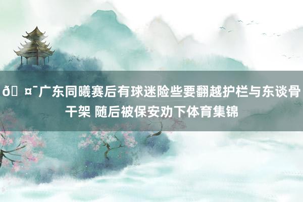 🤯广东同曦赛后有球迷险些要翻越护栏与东谈骨干架 随后被保安劝下体育集锦