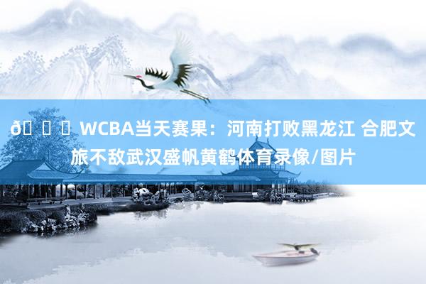🏀WCBA当天赛果：河南打败黑龙江 合肥文旅不敌武汉盛帆黄鹤体育录像/图片