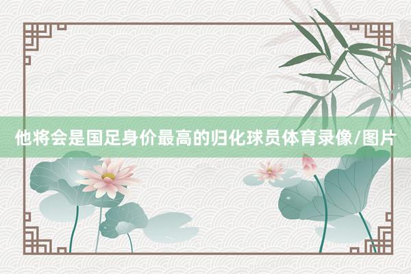 他将会是国足身价最高的归化球员体育录像/图片