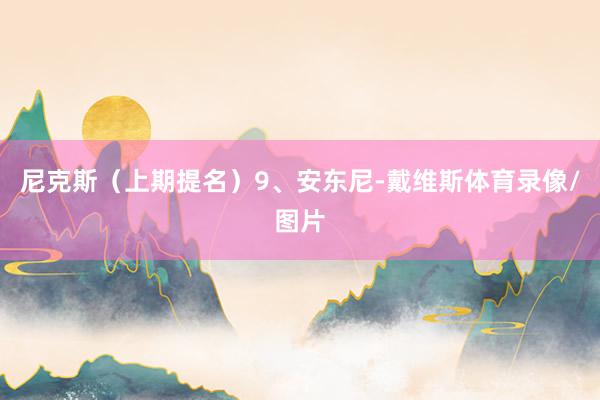 尼克斯（上期提名）9、安东尼-戴维斯体育录像/图片