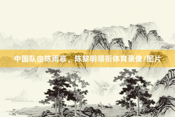中国队由陈雨菲、陈黎明领衔体育录像/图片