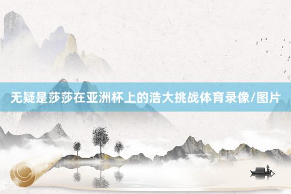 无疑是莎莎在亚洲杯上的浩大挑战体育录像/图片