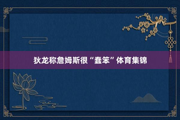 狄龙称詹姆斯很“蠢笨”体育集锦