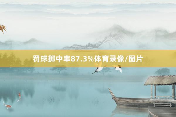 罚球掷中率87.3%体育录像/图片