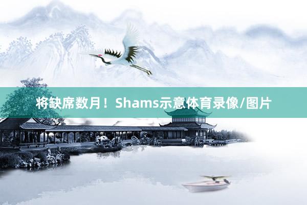 将缺席数月！Shams示意体育录像/图片