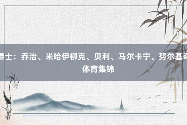 爵士：乔治、米哈伊柳克、贝利、马尔卡宁、努尔基奇    体育集锦