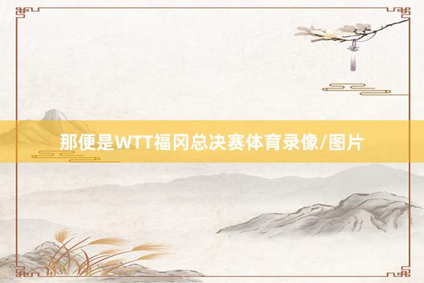 那便是WTT福冈总决赛体育录像/图片